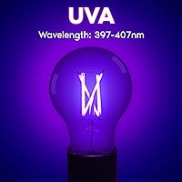 Vista 3 de LUXRITE Bombilla LED negra A19 Edison UV, luz negra, filamento de 6 W, UVA 397-407 nm, clasificación de accesorio cerrado, base E26, brilla