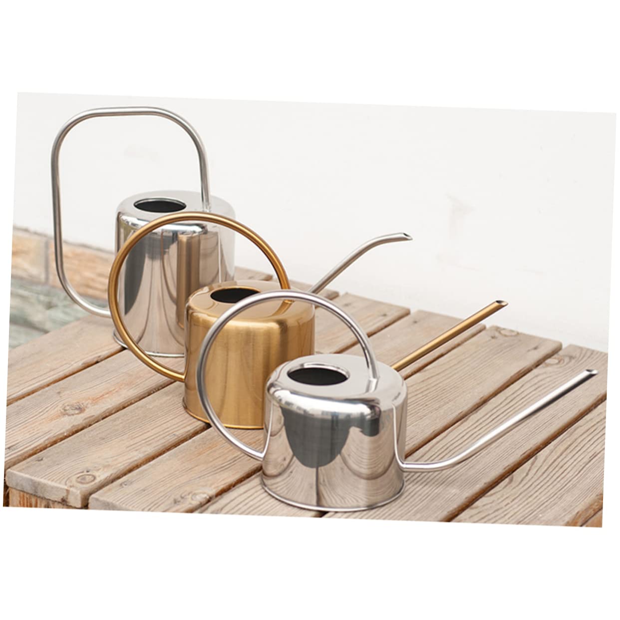 Regadera de Acero Inoxidable 1, 3 L para Suculentas y Flores de Interior