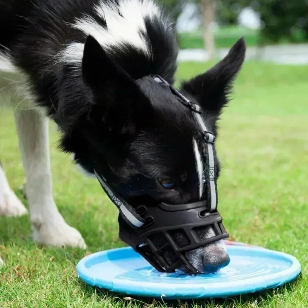 Focinheira de Segurança Respirável para Cães, com Faixa Refletiva, Ajustável, Material TPR e Nylon, Tamanhos: 0, 1, 2, 3, 4, 5, 6 (Número: 4) Focinheira de Segurança Respirável para Cães, com Faixa Refletiva, Ajustável, Material TPR e Nylon, Tamanhos: 0, 1, 2, 3, 4, 5, 6 (Número: 4)