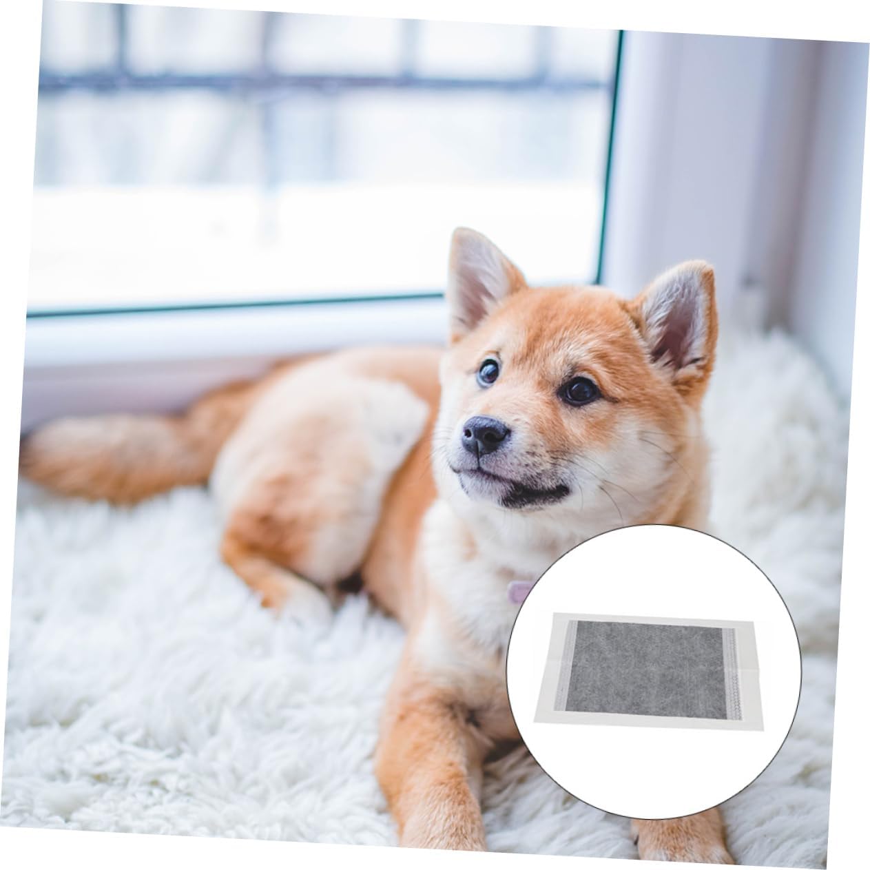 30pcs Pet Wee Pads Disposable Pee Pads for Dogs Cats Instant Absorb Non-Woven for Car Cage Hotel