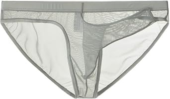 Mens Elephant Trunks Mesh Bikini Briefs - Sheer Separate Pouch Panties