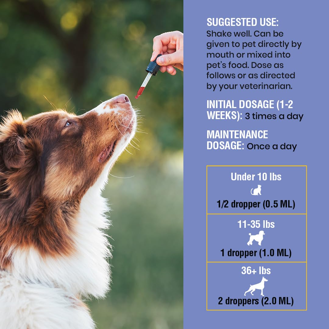 Soporte para la tos de perrera para perros y gatos – Ayuda con la tos seca, húmeda y ladrida – Apoyo respiratorio y garganta de mascotas a base de hierbas, apoya la respiración y las vías
