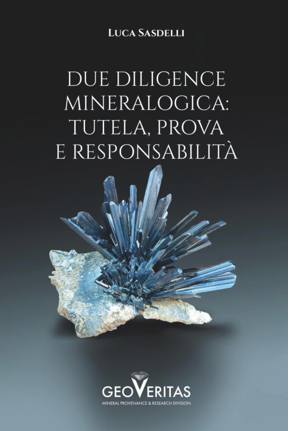 DUE DILIGENCE MINERALOGICA: TUTELA, PROVA E RESPONSABILITÀ