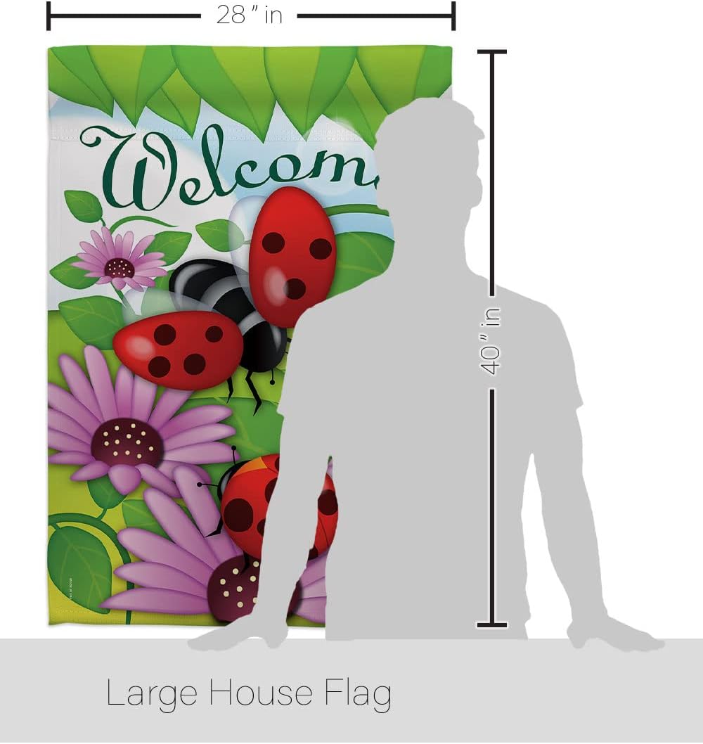 Breeze Decor H104071-BO Welcome Ladybug Garden Friends Bugs & Frogs Vertical, House Flag 28"x 40", Decorations Gifts Made in USA
