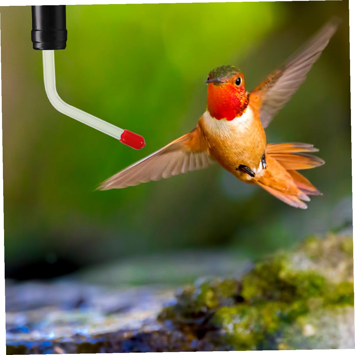 Yardwe 5 Juegos 5 Juegos De Comedero De Agua para Colibríes Comedero para Colibríes Comedero para Pájaros En El Patio Manguera De Agua para Pájaros Comederos para 2 Piezas * 5