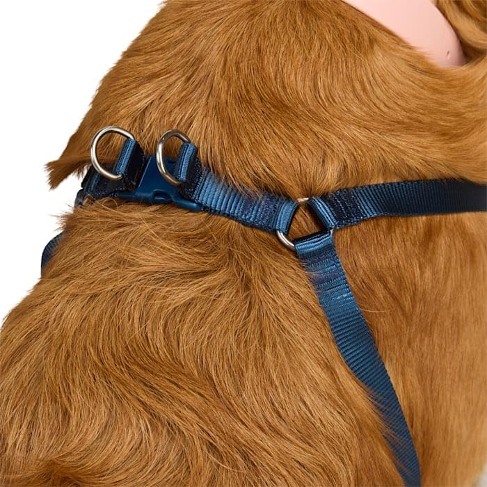 EveryYay by Petco Step in Dog Harness Navy Medium