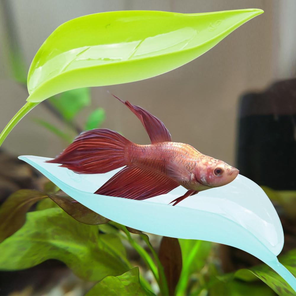 Betta Hamak z liśćmi, 3 szt. plastikowy zbiornik na ryby symulacja liść łóżko z przyssawką do akwarium, małe gady, brodate smoki