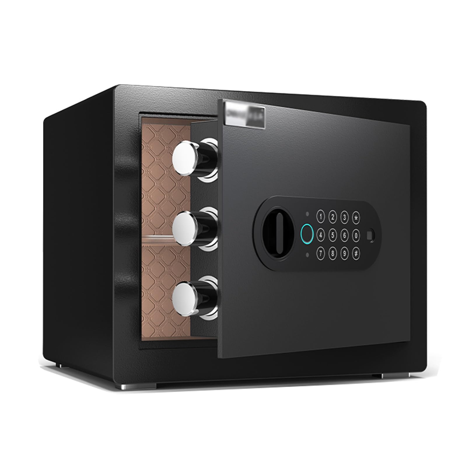 Cassaforte Impronta Digitale con Funzione di Allarme Safe a Muro Cassetta di Sicurezza Casa Forte con 4 Modi per Sbloccare(Black,25cm/10in)