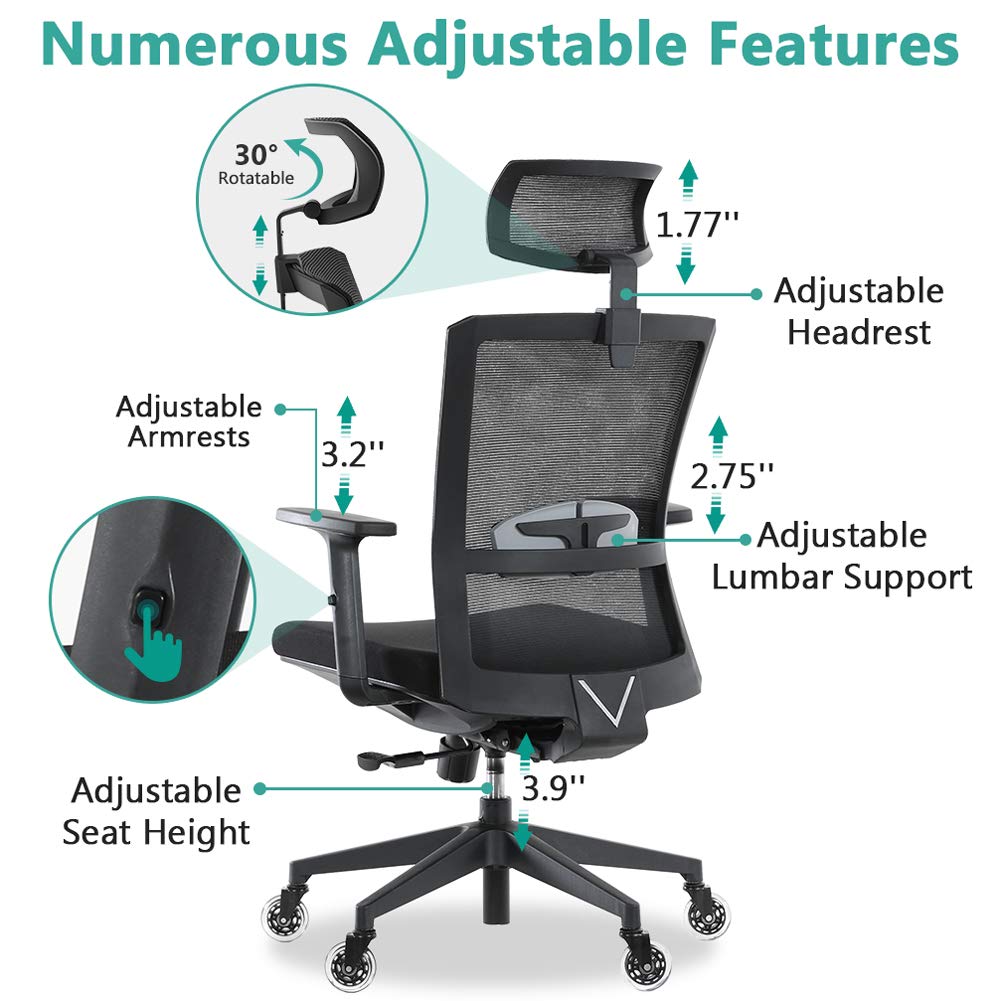 Buy Ergonomic Office Chair, Tribesigns High Back Desk Chair with Lumbar