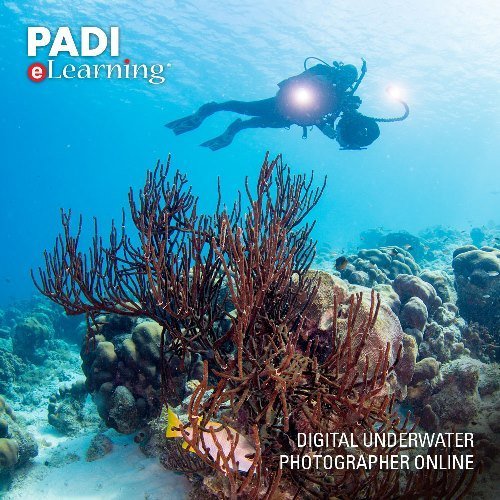 Padi Online Rescue Diver Course Scuba Diving eLearning Rescue Diver On Line Classroom Dive Books