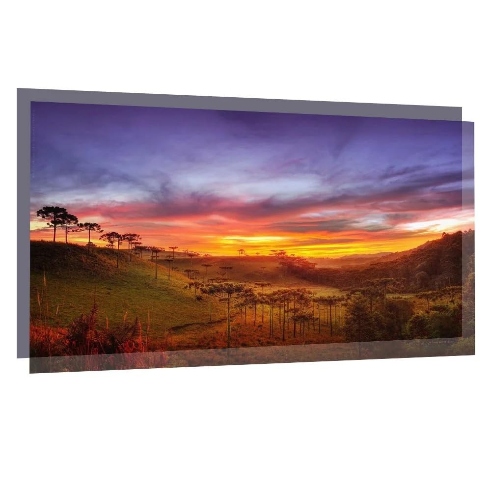 Pantalla de proyección Tela Reflectante 100 Pulgadas, 60, 84, 120, 130 y, 16:9, for Sony, Espon, BenQ, HY300 HY320(120 Inch)