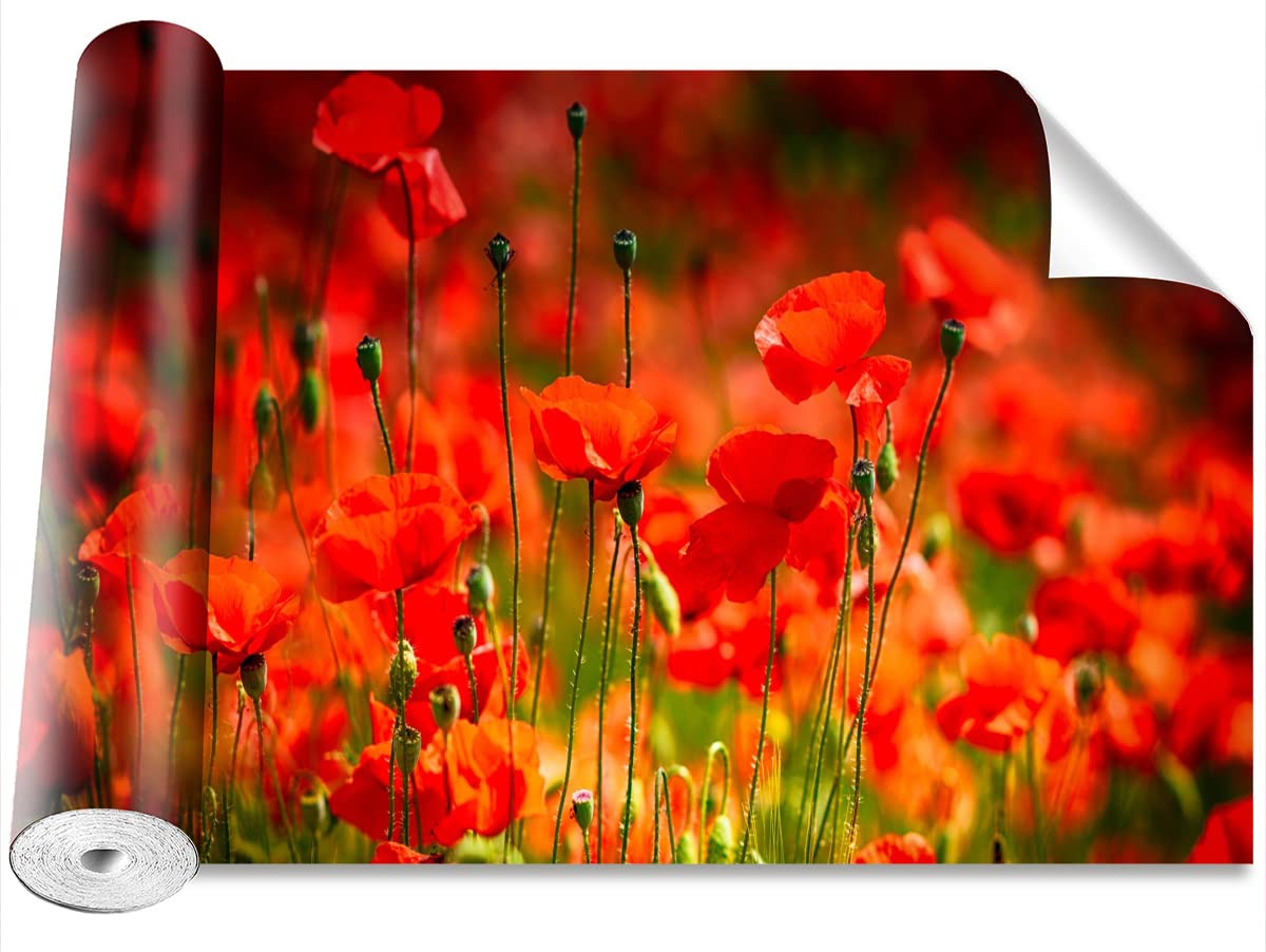 Stickers muraux pré aux coquelicots pour décoration salon et chambre