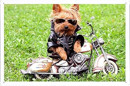 dog biker jacket uk