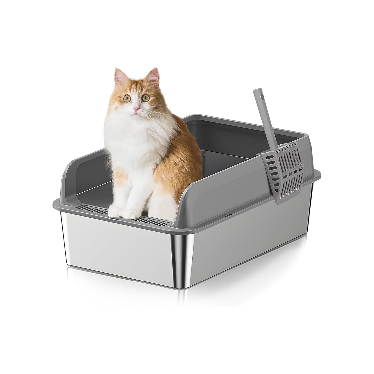 Wintem - Toilette per Gatto in Acciaio Inox con Coperchio Anti-Schizzo e Paletta Inclusa, Lettiera dal Design Igienico Facile da Pulire e Anti-Odore per Uso Quotidiano