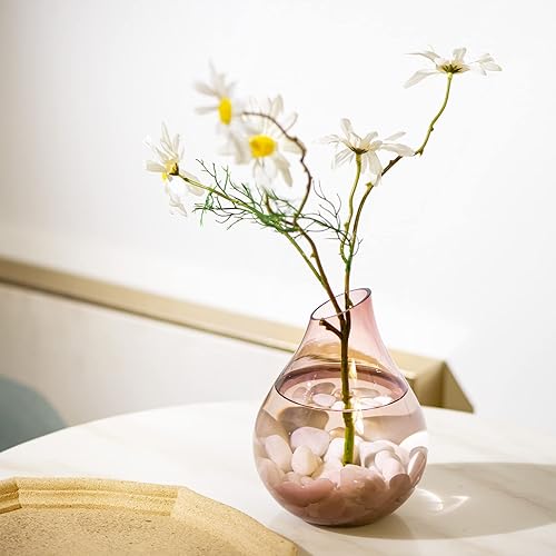 Miniatura 6 de Ausluru Piedras decorativas naturales pulidas de 20 libras, ideales para peceras, jarrones, suculentas, decoración del hogar y paisajismo de jardín,