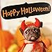 Hallmark Halloween Card with Sound for Kids (Dog in Costume, Plays Bad to the Bone)