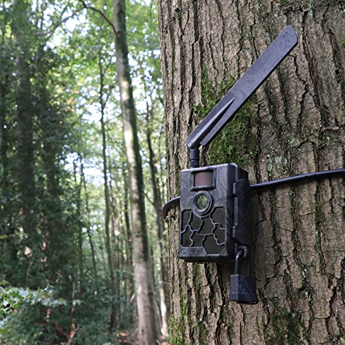 Wildkamera mit Sim Karte kaufen