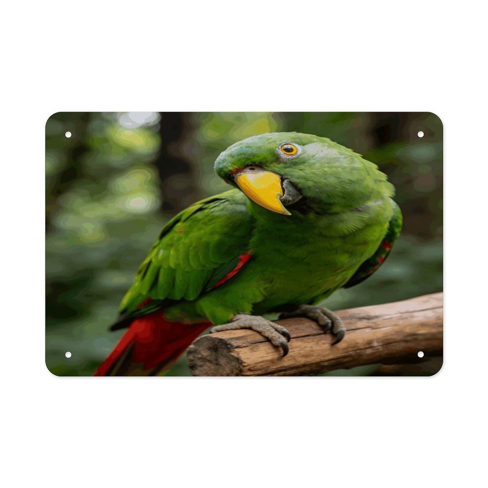 Fodpand Style Green Feathers Fixed Their Gaze Wall Art Metal Tin Signs Bar Metal Tin Sign Wall Decor For Home Living Room Bedroom Toilet Hotel Halloween Decor Gifts 7.9X 11.8 Inch