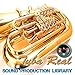 Trombone Real - Large original 24bit WAVE/Kontakt Samples/Loops Library