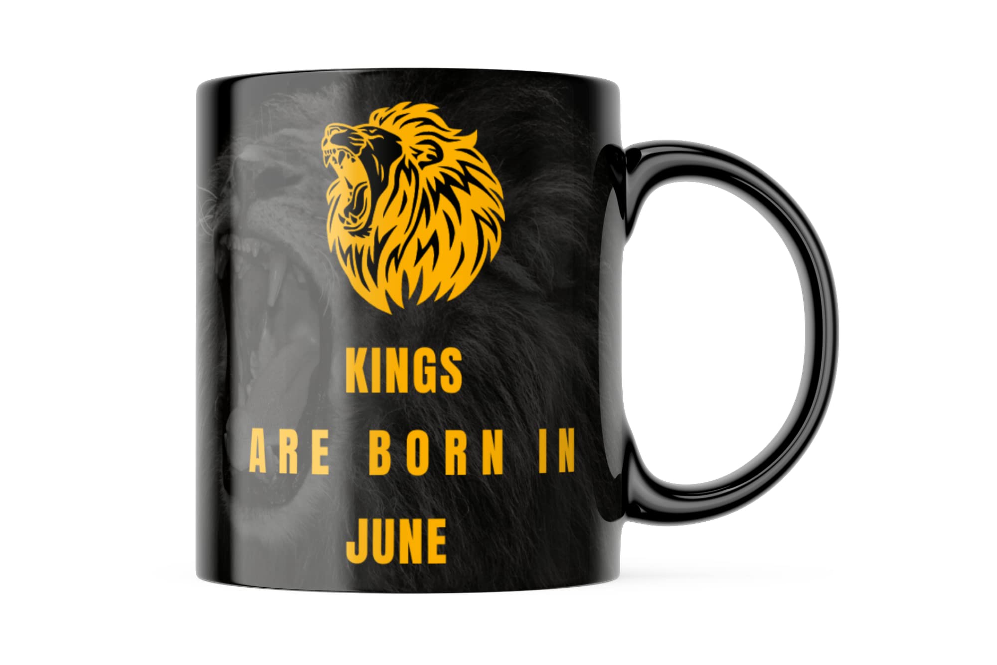 Kings are Born in June Printed Ceramic Coffee Mug Gift for Friend, Partner, Brother, Nephew, and Brother in Law