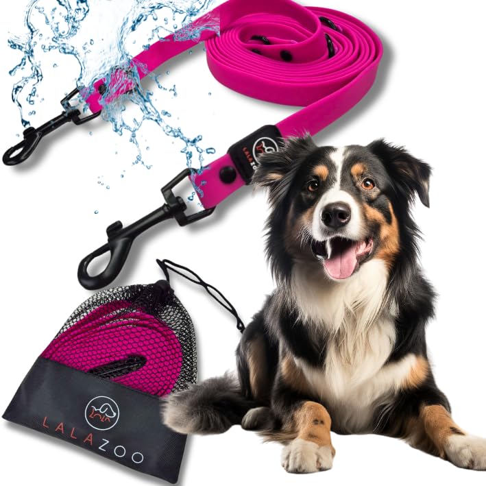 RUBBY Hundeleine PVC 10m – wasserdichte Verstellbare Trainingsleine & Führleine mit 2 Karabinern – Antibakteriell, Reißfest & Robust – Für Kleine, Mittlere & Große Hunde – Fuchsia