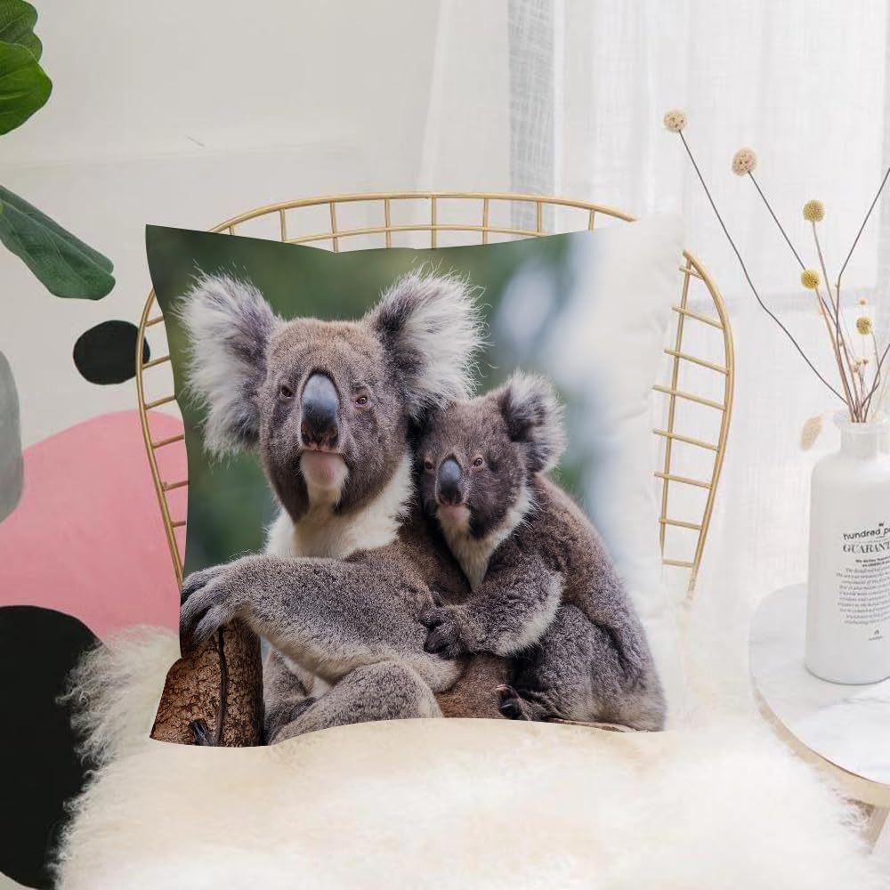 HYMSXW Cushion Cover,Throw Pillow Case Home Decorative for Living Room Bedroom Sofa Chair 20X20 Inch,Cute embracing couple of Australian Koala Bear sitting cozy on an eucalyptys tr,Pillowcase 50X50cm