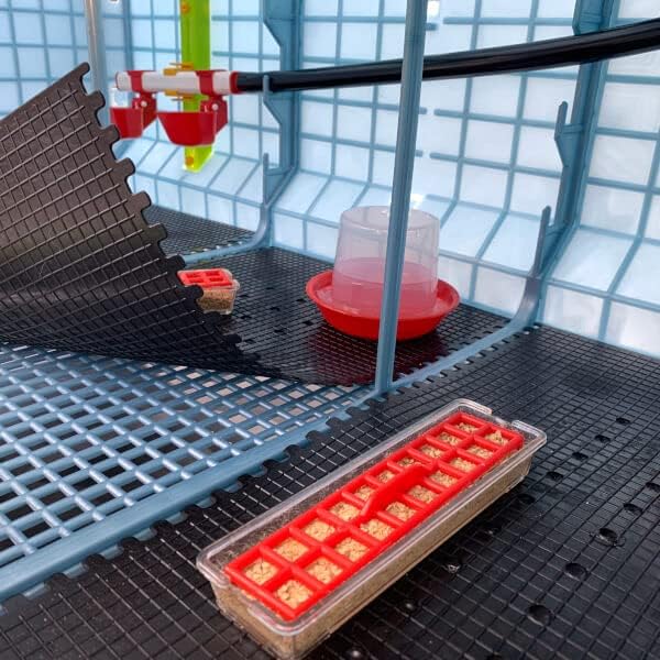 Miniatura 7 de Hatching Time Incubadoras de pollos de 15 pulgadas, apilables y opciones de 2 secciones, calefacción automática, bandeja fácil de limpiar, incluye