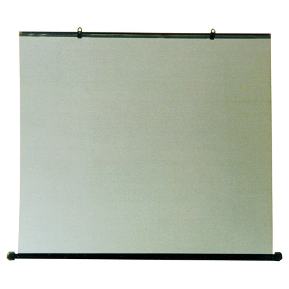 Carpoint 0522611 - Estor para coche (68 x 93 cm)