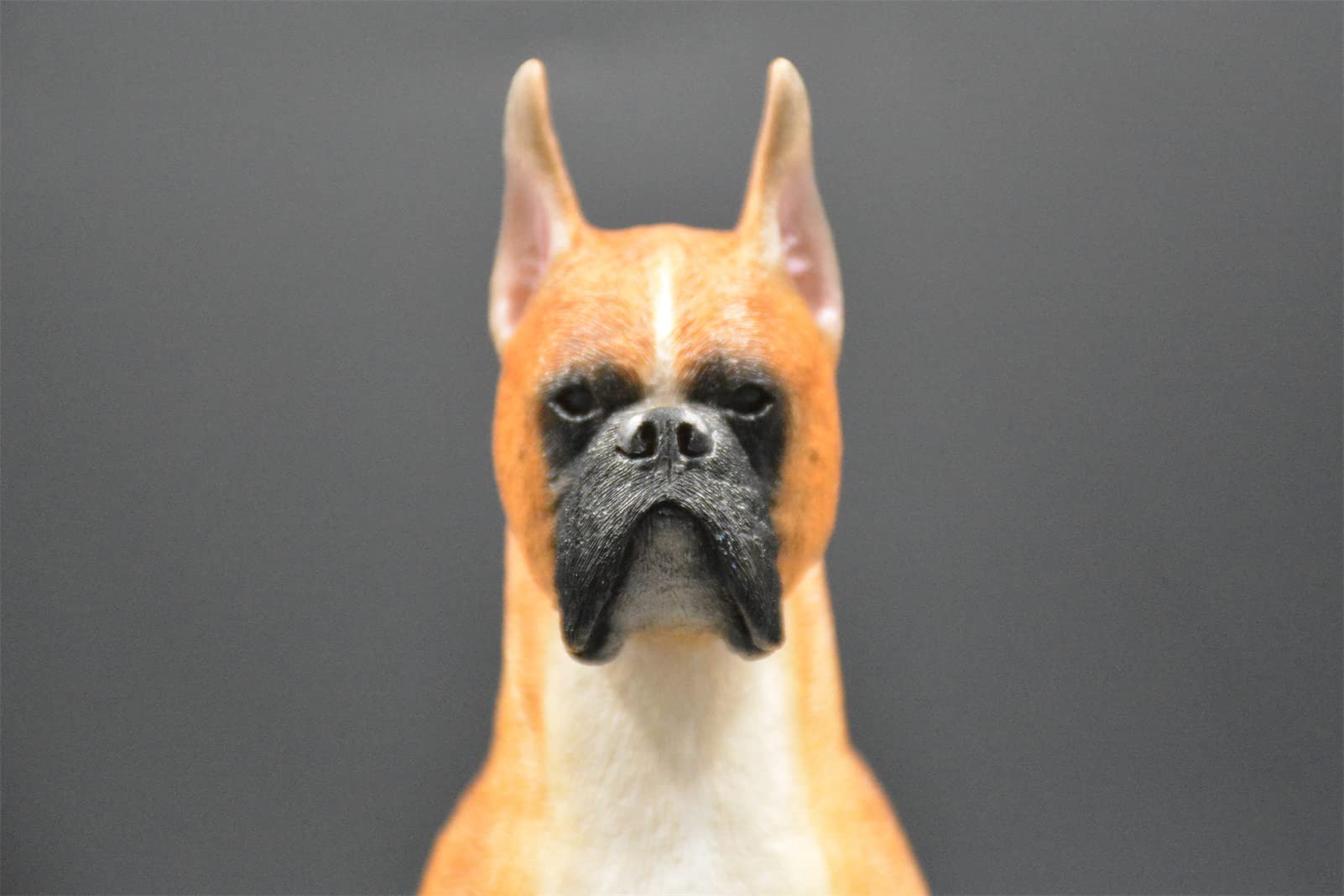 Amazon | M7 ボクサー 犬 動物 リアル フィギュア 樹脂 プラモデル