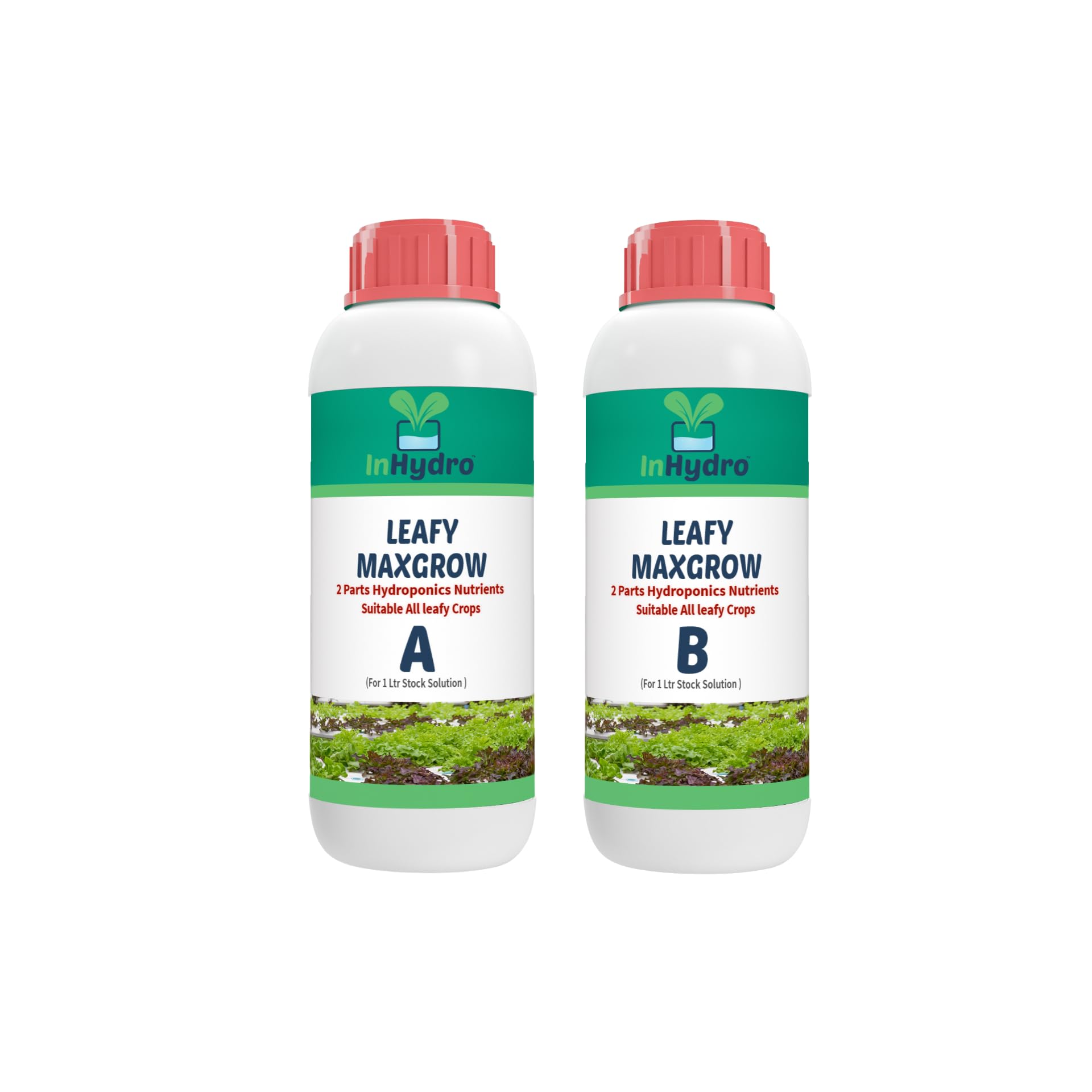 InHydro Leafy MaxGrow: Advanced Hydroponics Nutrient Solution for Leafy crops. Liquid mix in bottle .1 Ltr stock,200 Ltr final nutrient solution. Suitable for all leafy crops like Lettuces, Kale etc (B0C6ZZ6BWN) Amazon Price History, Amazon Price Tracker