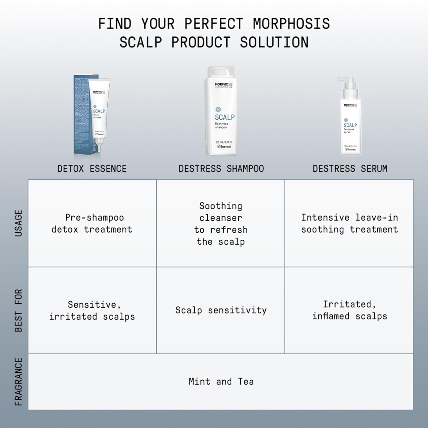 Framesi Morphosis Scalp Cleansing Shampoo, Cleanses Hair and Scalp, Clarifying, Removes Buildup, Natural Ingredients, Color Safe