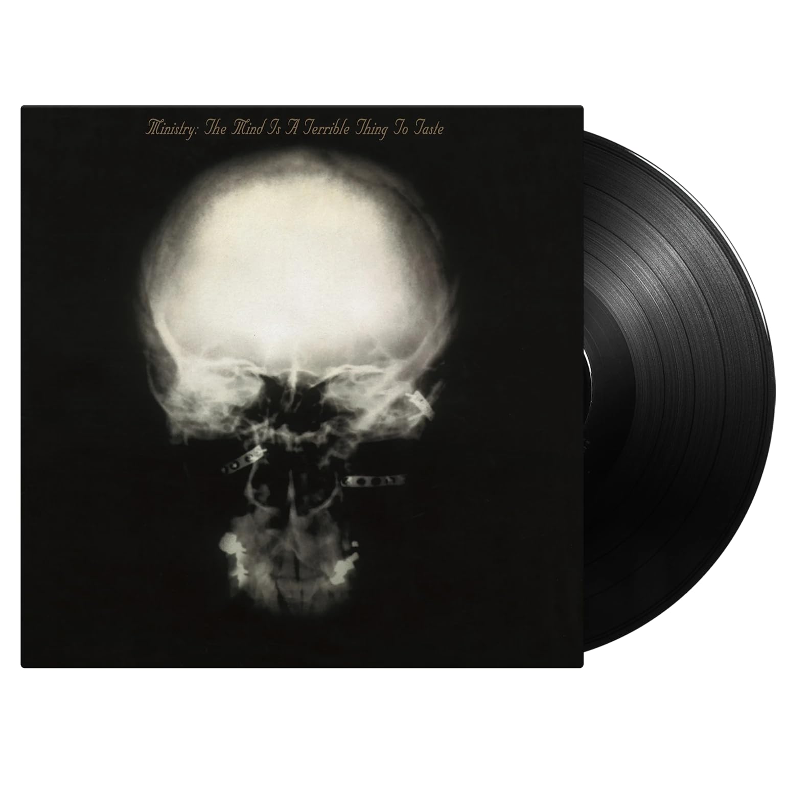 The Mind Is A Terrible Thing To Taste [VINYL]