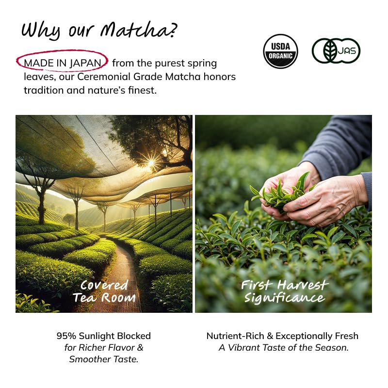 Matcha Japanese Tea - Image 5