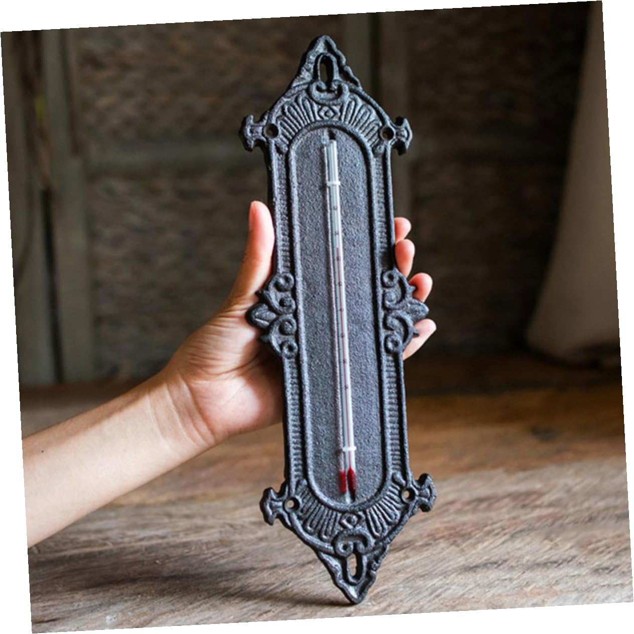 Angoily Thermomètre D’Ambiance en Fonte Noir pour Usage Extérieur et Intérieur Décoration Murale Europeenne Classique Précision Fiable