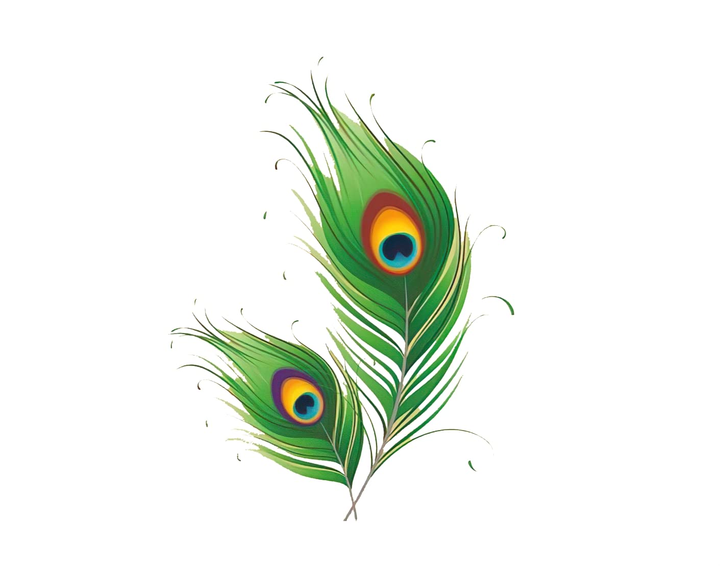 Akki World Peacock Feather Art Wall Stickers for Bedroom, Kids Room, Office, (Size - 60 Cm X 80 Cm) (B0BXCX3XPB) Amazon Price History, Amazon Price Tracker