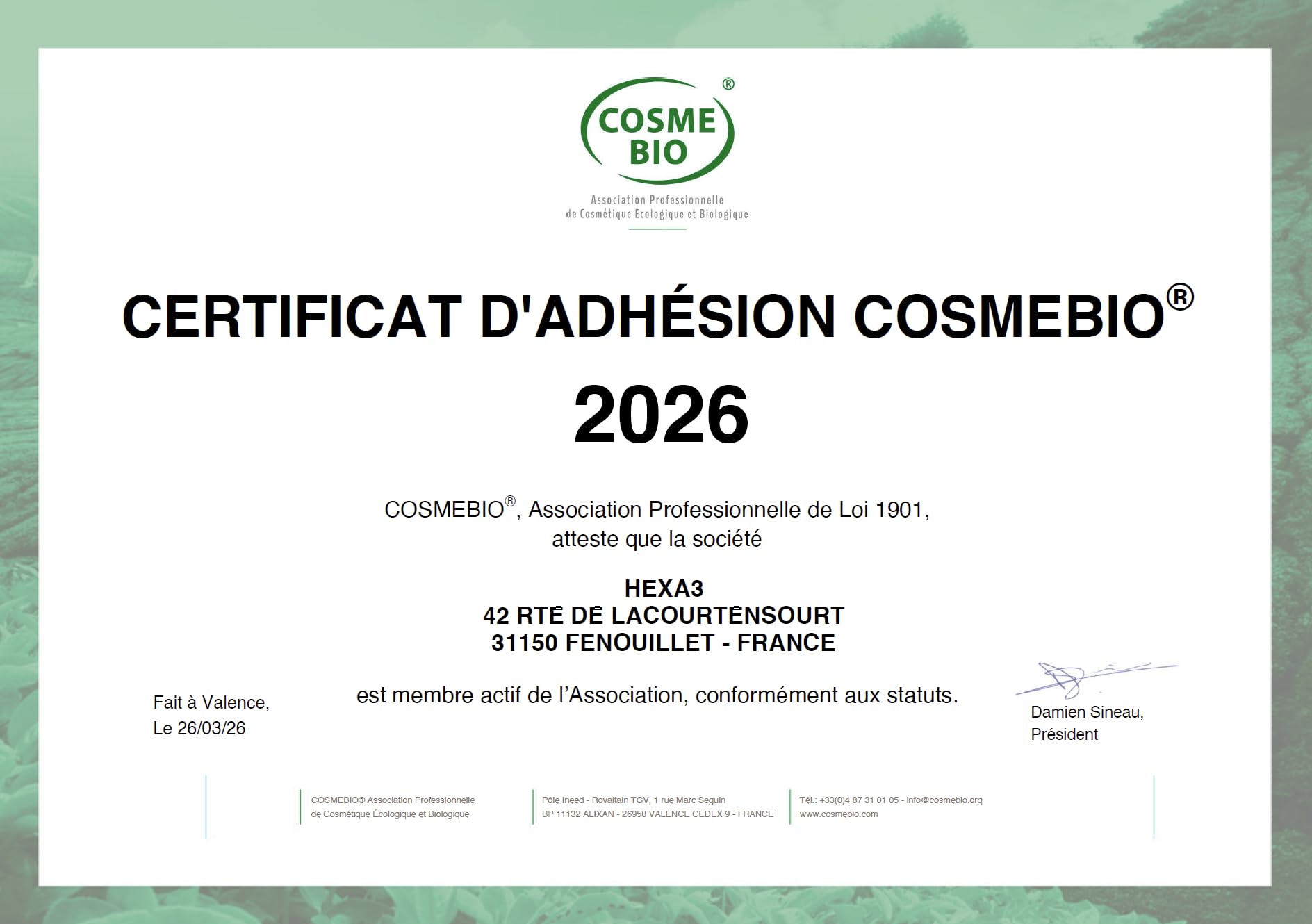 Roll On CBD 1000mg Effet Froid Bio COSMOS® 50ml HexaFLEX®