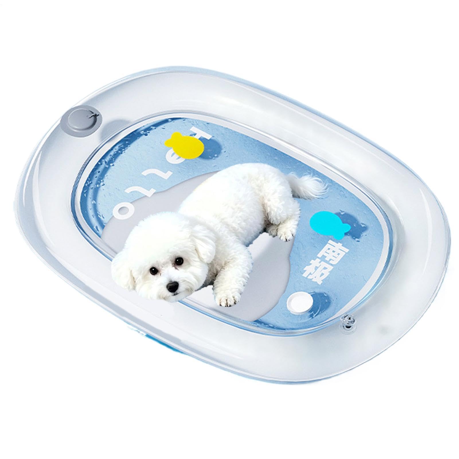 Erconsso Cat Cooling Mat Inflatable Waterproof Thickened Funny