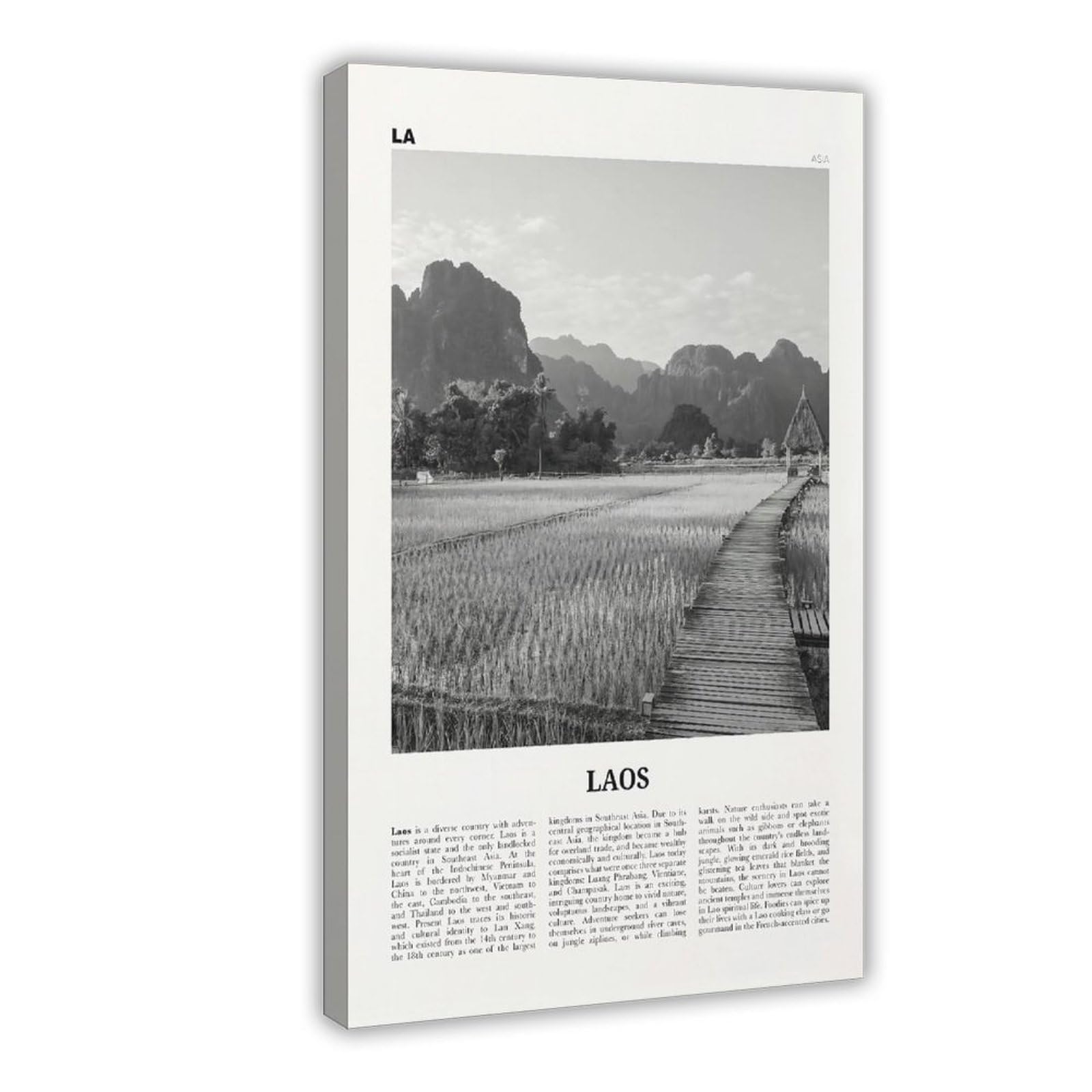 Laos Print Black And White Landscape Wall Art Poster Photo Decor Lāo Lao People's Vientiane Asia Canvas Art Poster And Wall Art Picture Print Modern Family Bedroom Decor Posters Frame 12×18inch(30×45c