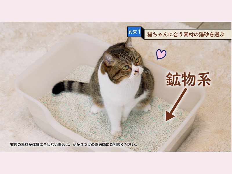 Amazon | ライオン ニオイをとる砂 猫砂 カラーチェンジタイプ 5.5Lx4