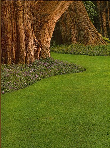Lawns and Ground Covers. The Time-Life Encyclop... B000HX8UGQ Book Cover