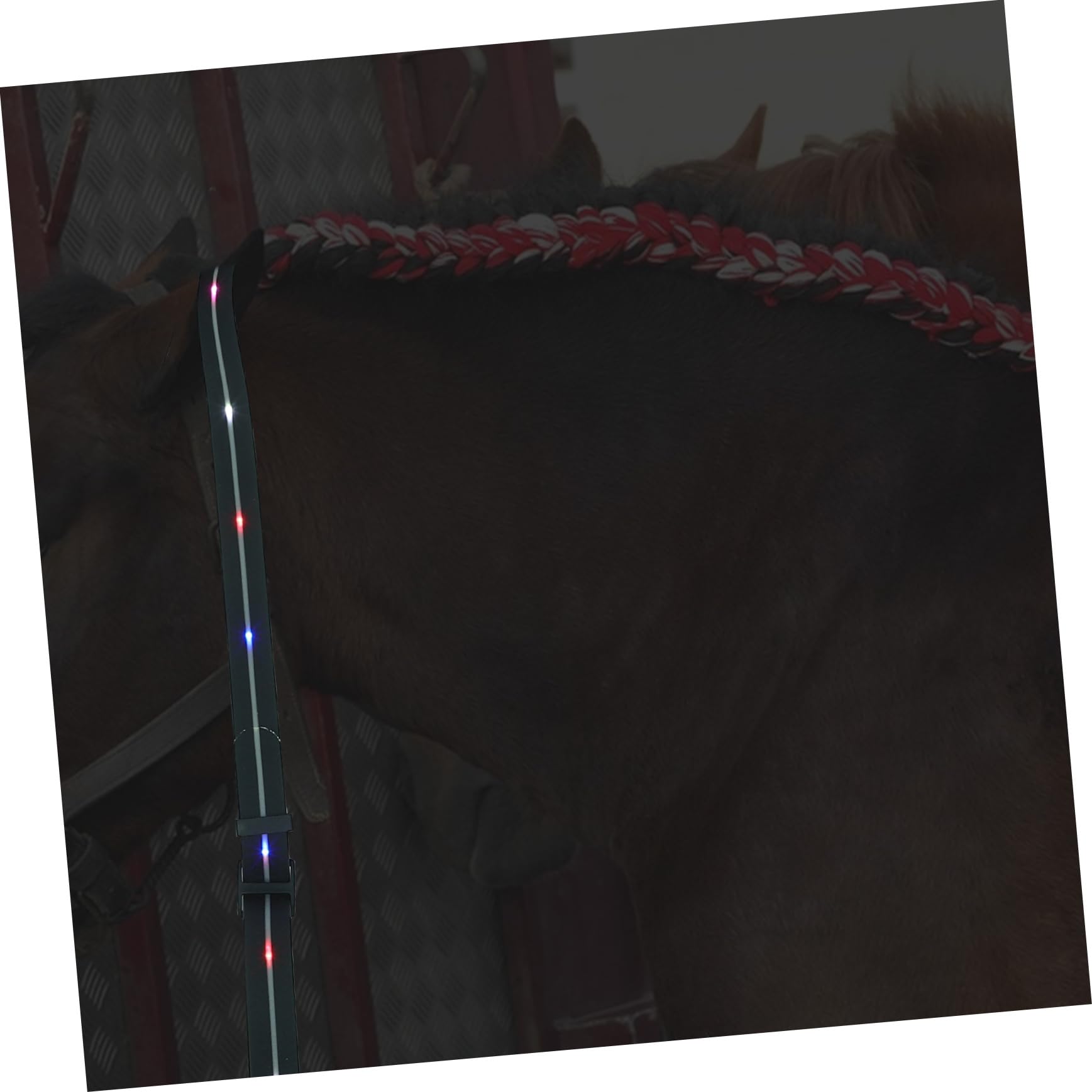 Pechera LED Recargable para Caballo de Alta Visibilidad | Negro, Ajuste Regulable, Carga por Cable Usb, Pu y Nylon Carcasa Abs y Aleación de Aluminio Estilo Aleatorio