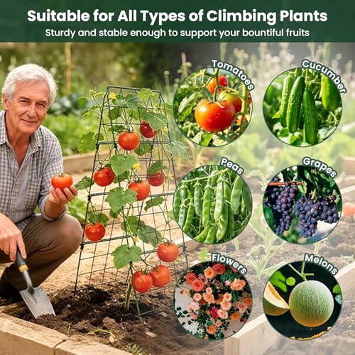 2 Pack Cucumber Trellis, 48"x16" Adjustable A-Frame Trellis for Climbing Plants, Metal Foldable Upgraded Vegetable Trellis for Raised Bed, Support for Tomatoes, Squash, Zucchini, Vegetables & Flowers by Erinaik - Image 4
