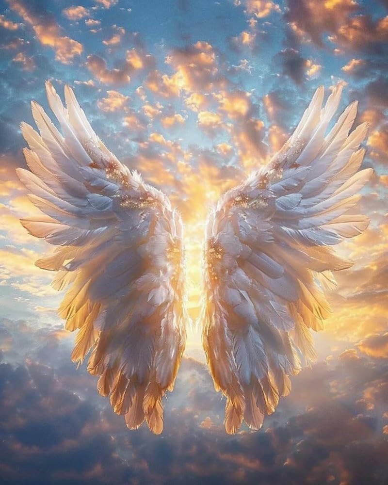 Stamped Cross Stitch Kit Angel Wings Popular Pattern Print Cross Stitch Kit Beginner 11CT DIY Advanced Handmade Home Decoration-40X50CM