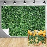 Msocio Green Leaves Backdrop - Nature Greenery Polyester Photography Background for Birthday Wedding Decor Soft Fabric Wall Banner | Baby Shower, Safari, Dinosaur Theme Photo Booth(7x5ft)