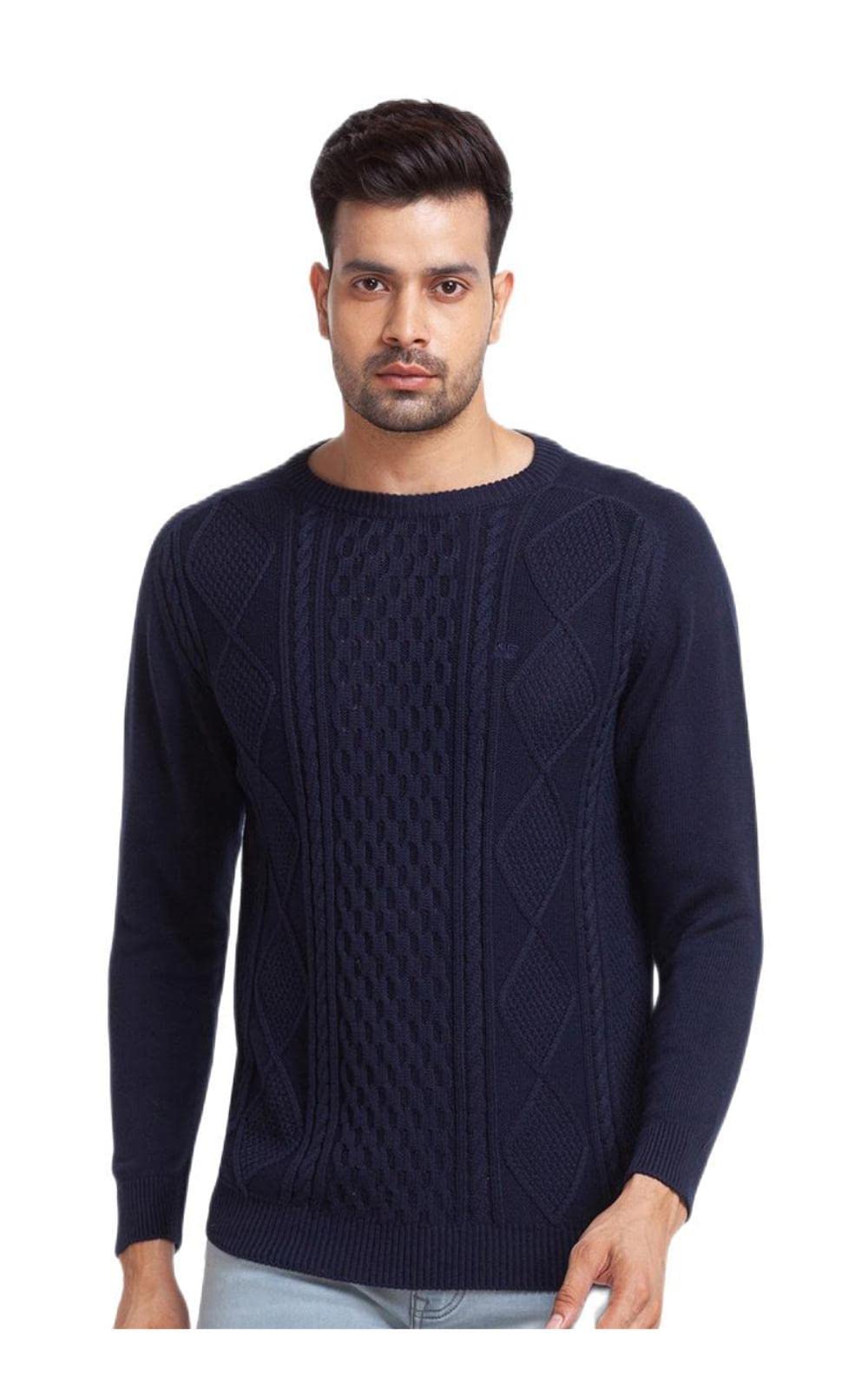 colorplus Tailored Fit Blue Sweater for Men-picture-22