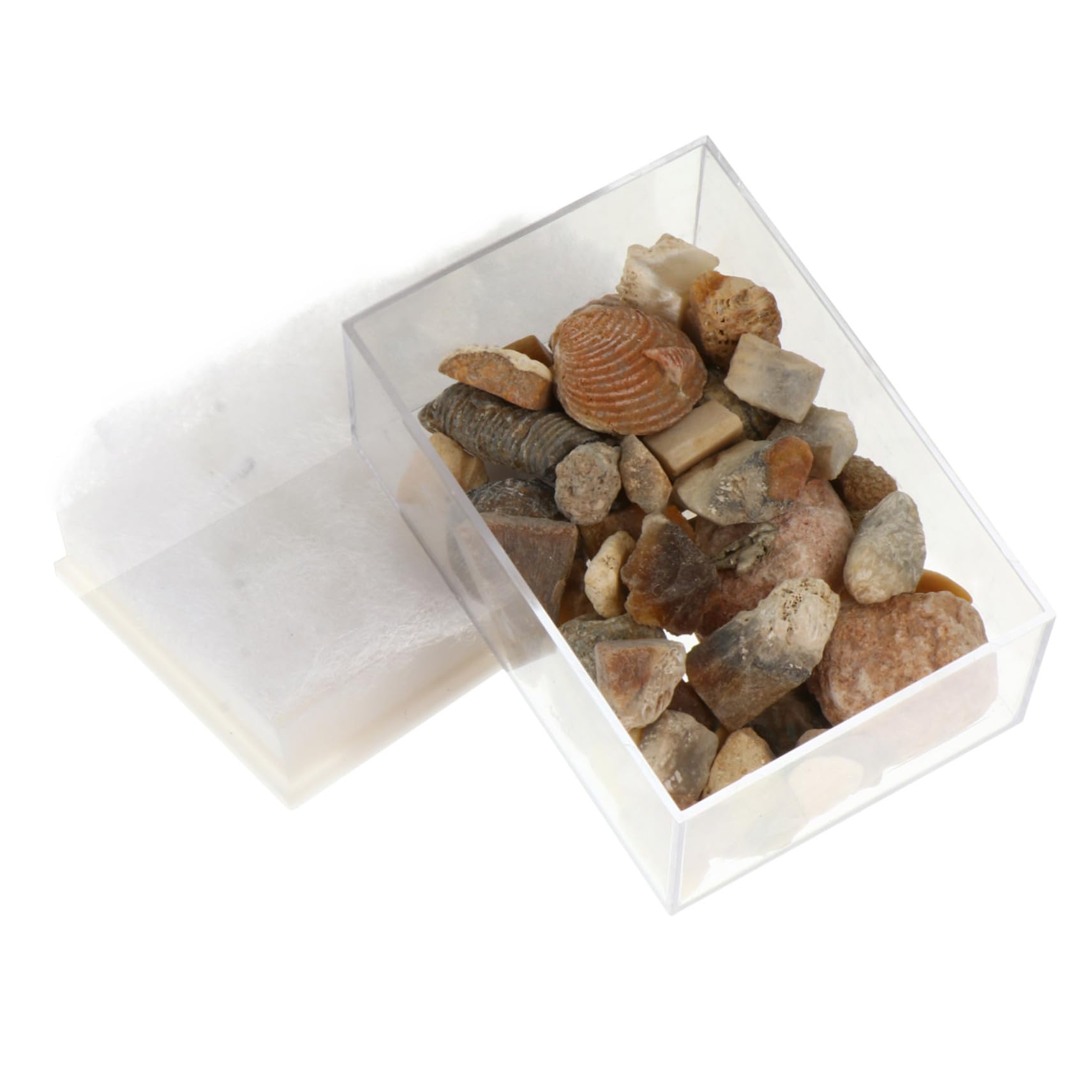 Hemobllo Educational Ore Specimen Stones Natural Stones Collection for Boys and Girls Museum