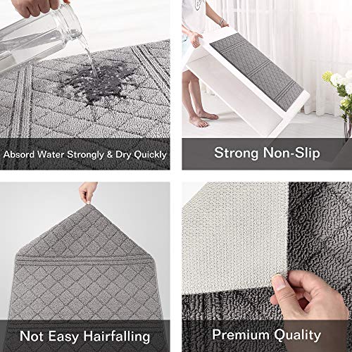 REFETONE Indoor Doormat, Front Back Door Mat, 24x36, NonSlip Absorbent