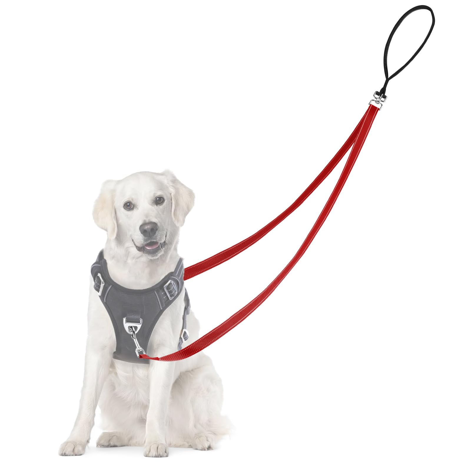 Adiwo Two Point Control Dog Leash, Professional Anti-Pull Dog Lead with Reflective Stitching and Soft Padded, Works with No Pull Harnesses, Easy to Convert to Single Lead for Small Medium Dogs (Red)