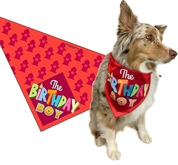 Stonehouse Collection Birthday Boy - Happy Birthday Dog Bandana - Dog Birthday Scarf Accessory - Great Dog Gift Idea (Medium to Large)
