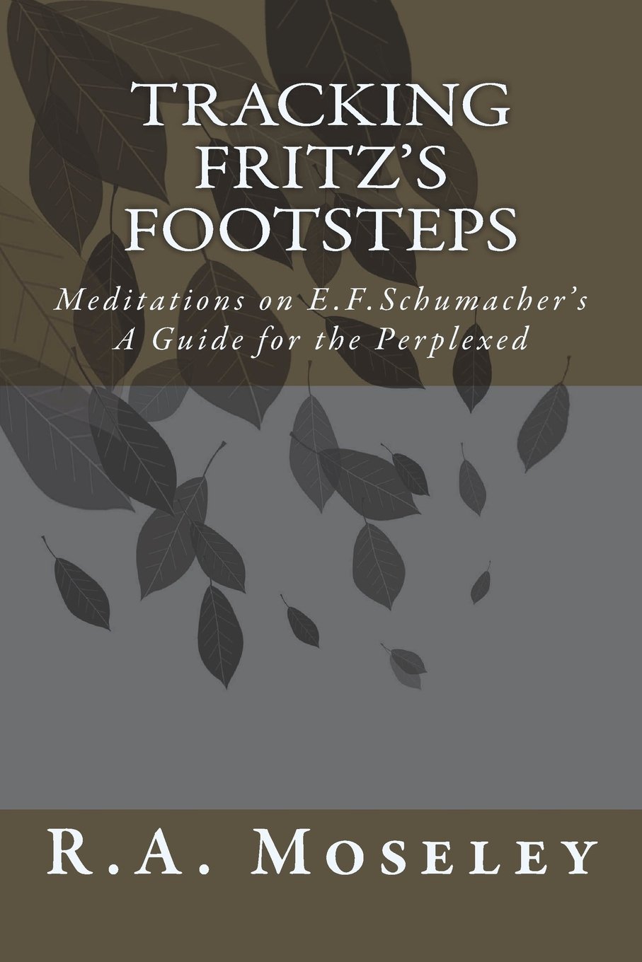 Tracking Fritz's Footsteps: Meditations on E.F. Schumacher's A Guide for the Perplexed